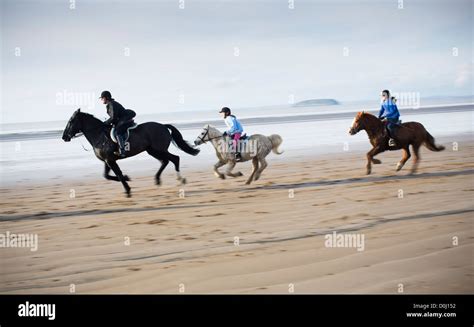 Three Horse Riders Gallop Along Brean Sands Beach In Somerset England
