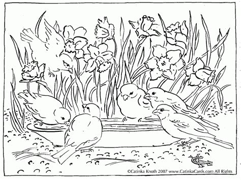 You want to see all of these nature & seasons, forest coloring pages. Nature Around The House Coloring Pages - Coloring Home