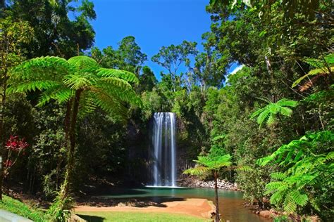 As a result, they experience quite a bit of rainfall annually. Waterfalls | Cairns Australia