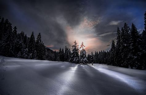 Nature Photography Landscape Winter Snow Forest Sunset Sunlight