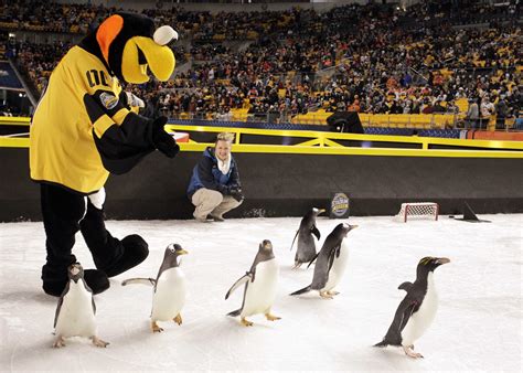 None of it comes easily for him, especially considering he's targeted by everything from killer whales to leopard seals, who unapologetically. NHL Slammed By PETA for Using Real Penguins | Time