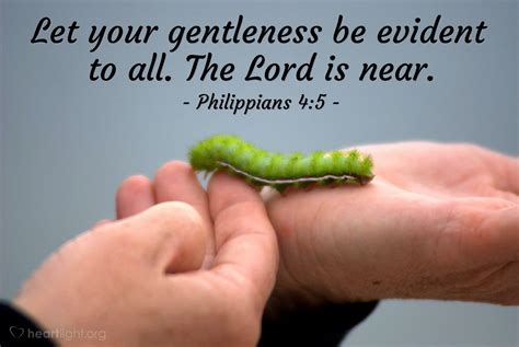Gentleness Of God Scripture