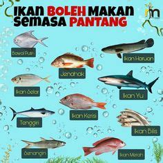Klik untuk lauk pantang & resepi menu berpantang 44 hari utuk orang selepas bersalin normal dan pembedahan. Serunding Halia, Resepi Pantang | Resepi bepantang ...