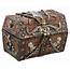 Treasure Chest PNG