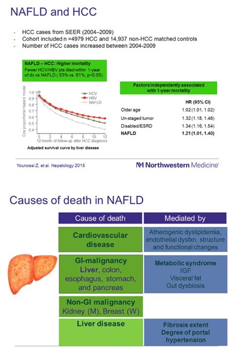 Long Term Outcomes Mortality And Causes Of Death In Nafld