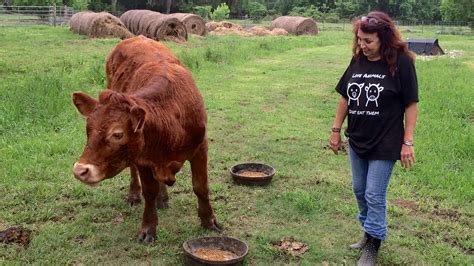 Woman Turns Cattle Ranch Into Vegan Animal Sanctuary