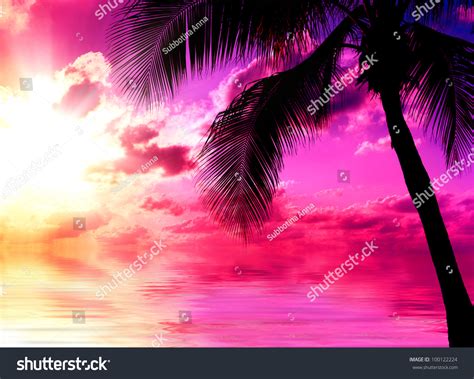 Sunset Beach Stock Photo 100122224 Shutterstock