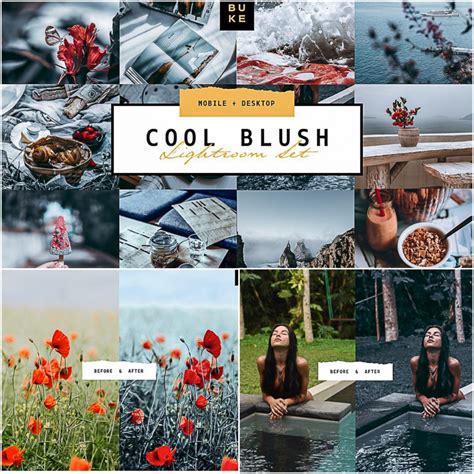 Instantly download from our massive collection of free lightroom presets, photoshop actions & more! 5 Cool Blush Lightroom Presets Pack | Free download