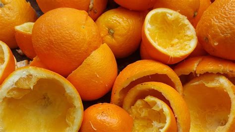 You Will Never Throw Away Orange Peels After Watching This Youtube