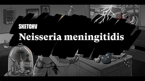 Microbiology Neisseria Meningitidis Youtube