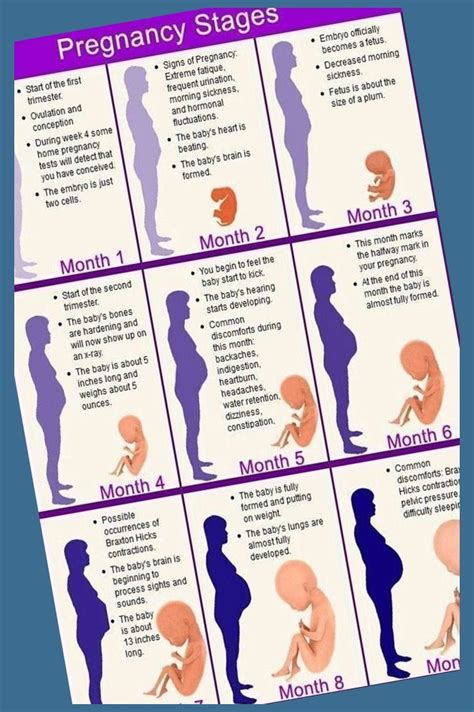 Pin On Early Pregnancy Tips