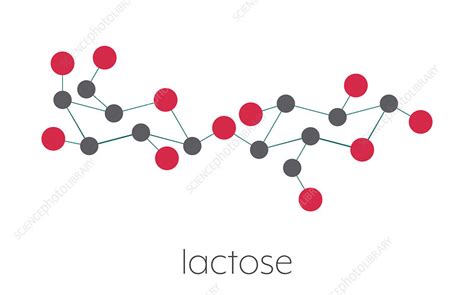 Lactose Milk Sugar Molecule Illustration Stock Image F
