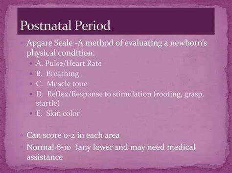Ppt Postnatal Period Powerpoint Presentation Free Download Id2263851