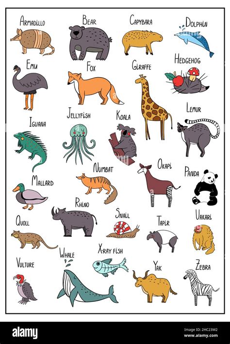 Full Animal Alphabet With Colorful Illustrations Color Alphabet Poster