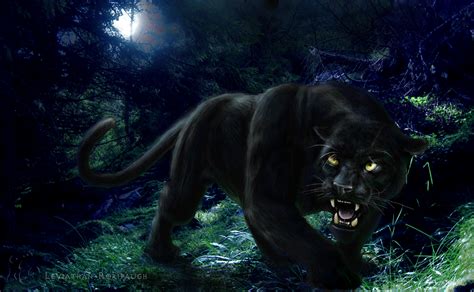 49 Free Black Panther Wallpaper