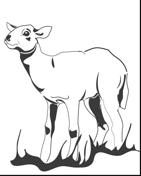 Lamb and lion coloring page. Lion And Lamb Clip Art | Free download on ClipArtMag