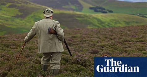 Glorious 12th Arrives And Grouse Shooting Season Begins Uk News The