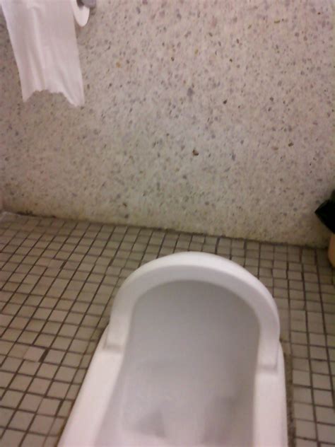Animesecrets Org An Insiders Look At Japan The Squat Toilet