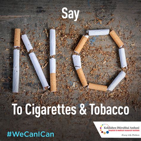 Bags, cups and bottles, trendy ecological posters set. Say NO to smoking
