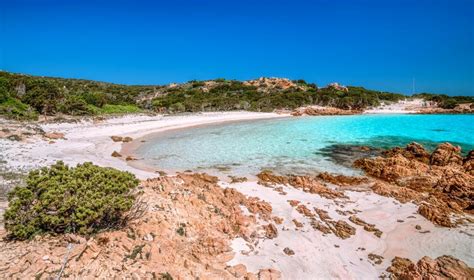 Budelli Sardinia Beaches Pink The Most Beautiful Pink Sand Beaches To