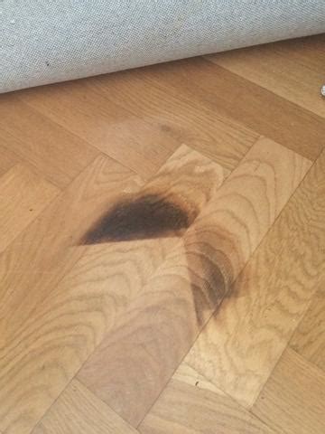 Wer schon mal katzenurin irgendwo in jetzt katzenurin von sofas, teppichen oder holz entfernen. Wie bekomme ich einen Hundeurin Fleck aus dem Parkett Boden?