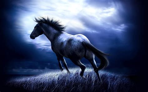 Free Horse Screensavers And Wallpapers Wallpaper Cave