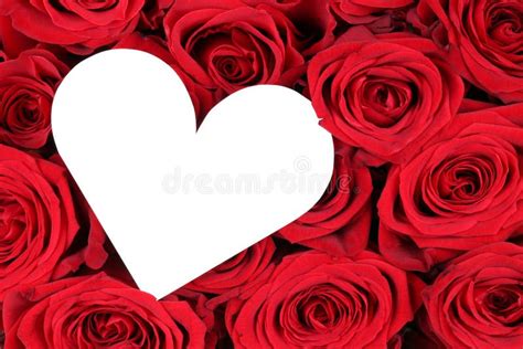 Red Roses With Heart As Symbol Of Love On Valentine S Day Stock Photo