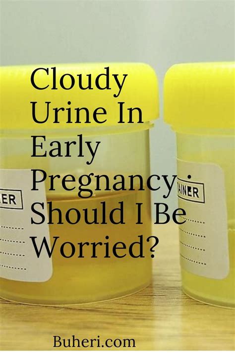Early Pregnancy Urine Color During Pregnancy Reactive Cyberzine Image