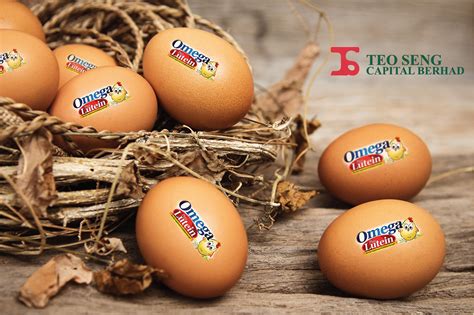 The company operates through investment holding; Teo Seng - One of Malaysia's largest egg producer