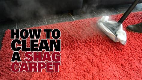 First, blot the area with a cloth or a paper towel to soak up any lingering urine. How to Steam Clean a Shag Carpet - Dupray - YouTube