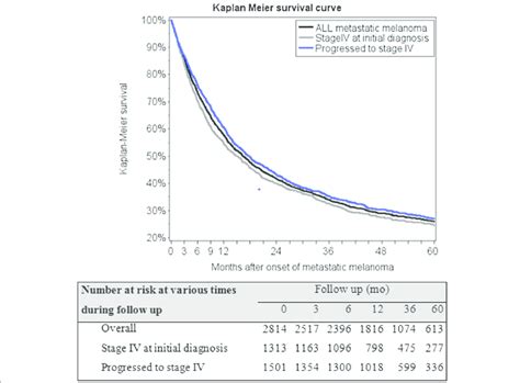 Kaplan Meier Overall Survival Curve For Metastatic Melanoma Patients