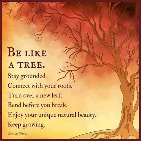 Positive Life Quotes Life Sayings Be Like A Tree Stay Grounded Keep