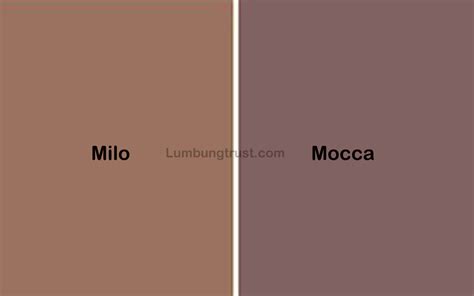 Berikut Perbedaan Warna Mocca Dan Milo Serta Contoh Penggunaanya