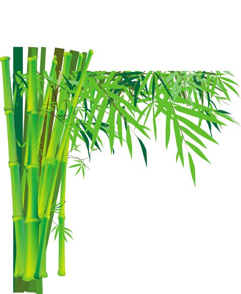 Bamboo Plum blossom - Cyan bamboo png download - 1184*1447 - Free Transparent Bamboo png ...