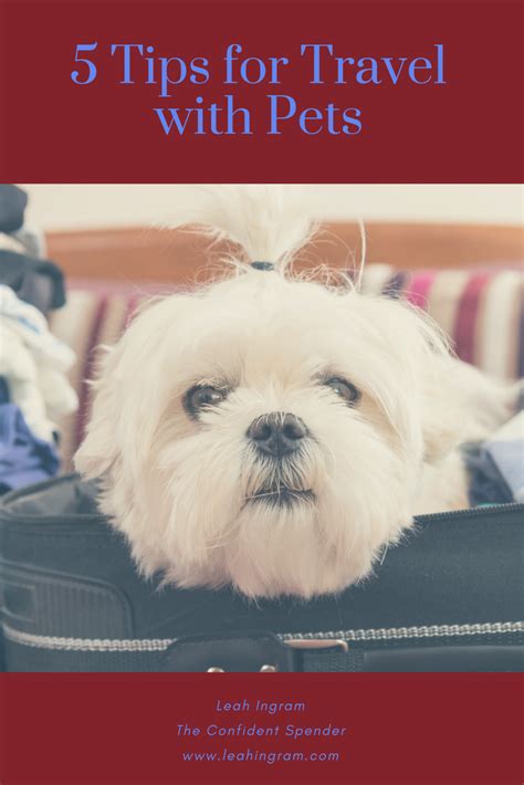 Every one of their hotels welcomes furry, feathery, and scaly family members with special amenities. Pet Friendly Hotel Chains 2019 - Pet Inspiration
