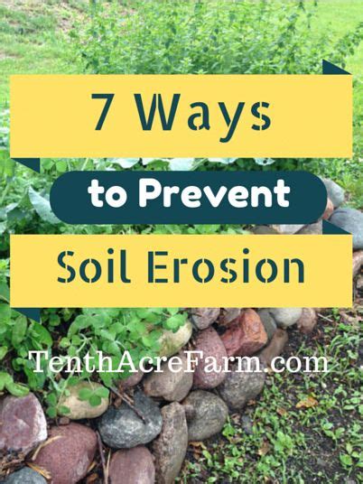 7 Ways To Prevent Soil Erosion From TenthAcreFarm Gardensoil Soil