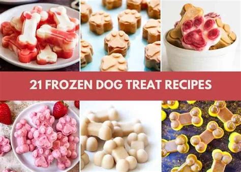 21 Frozen Dog Treat Recipes Koti Beth