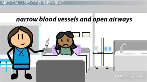 You can also add a definition of anaphylaxis yourself. What Is Epinephrine? - Definition, Uses & Side Effects ...