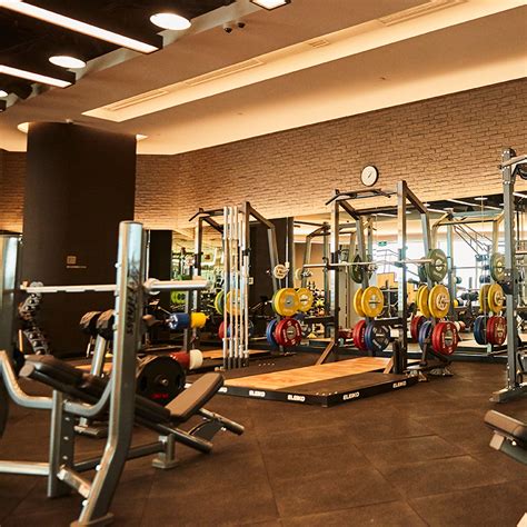 Pure fitness martial arts is the premier teaching authority for muay thai kickboxing in bellingham. Pure Fitness