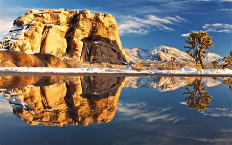 Joshua Tree National Park National Park In California Thousand Wonders