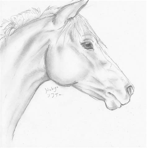 Beautiful And Easy Drawings To Draw Of Horses 1000 Ideas About Horse