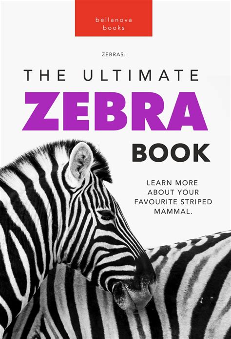 Zebras The Ultimate Zebra Book Bellanova Books For Kids And Grown Ups