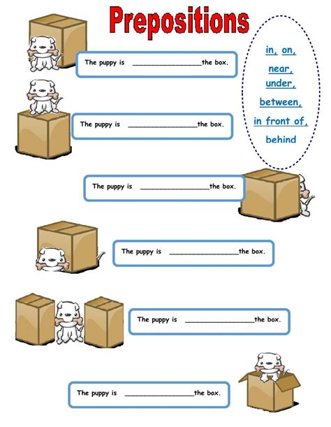 An Image Of Prepositions For The Cat In The Box With Pictures On It