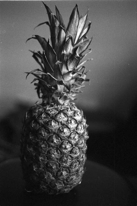 At 50, the legendary relic of the college dorm room is still groovy after all these years the lava lamp was invented by edward craven walker whose other claim to fame was making underwater nudist. Modernizing the Intricate Photography of Edward Weston ...