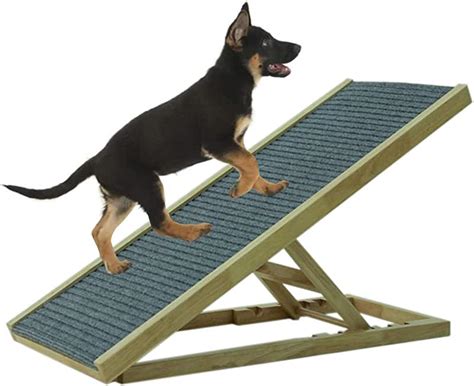 Dog Ramps For High Beds
