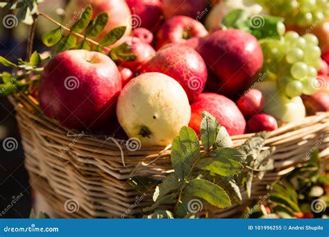 Ripe Apples With Grapes In A Basket Stock Image Image Of Delicious