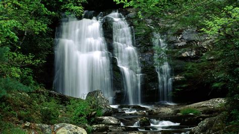 Visit Great Smoky Mountains National Park Yellow Tennessee