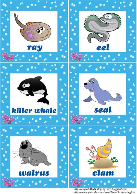 Water Animals Clipart With Names 20 Free Cliparts Download Images On