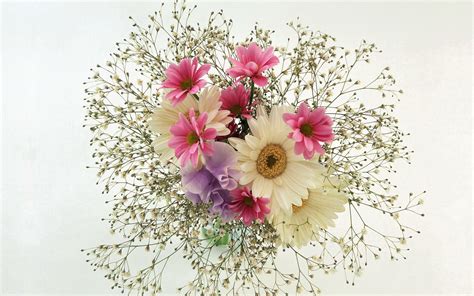 Wallpaper Blossom Pink Bouquets Art Flora Tenderness Petal