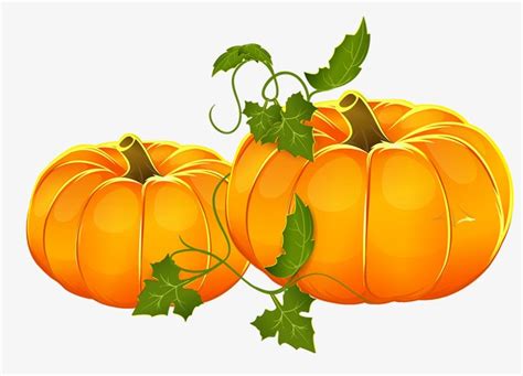 Pumpkin Vines Clipart 10 Free Cliparts Download Images On Clipground 2024